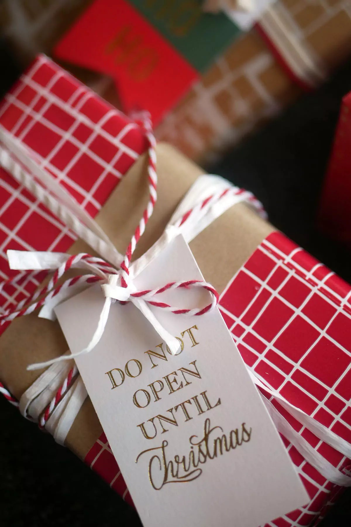 Don't Open Til Xmas Tag-3